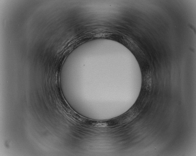 X0000100980554200806241151