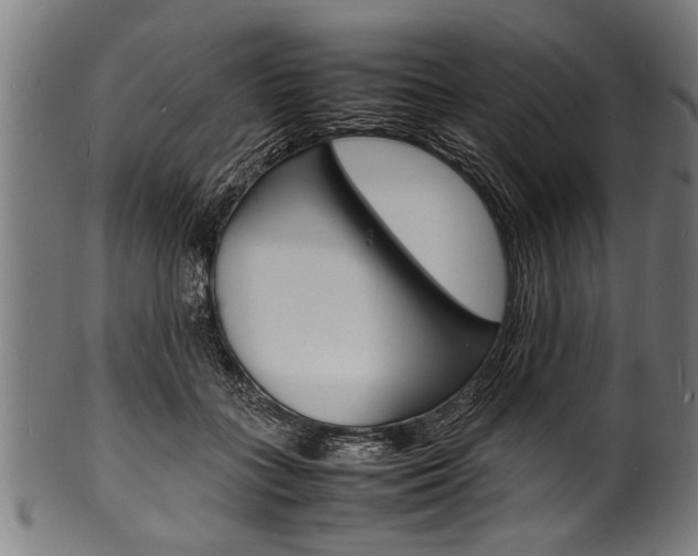X0000100980555200806241151