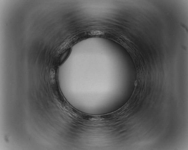 X0000100980556200806241151