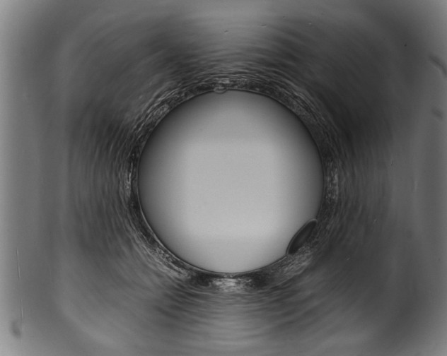 X0000100980558200806241151