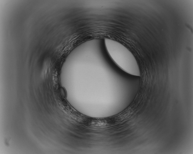 X0000100980559200806241151