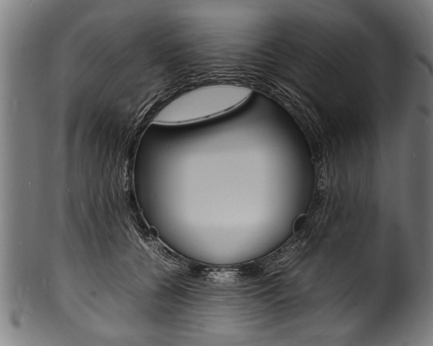 X0000100980560200806241151