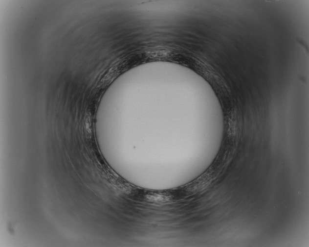 X0000100980561200806241151