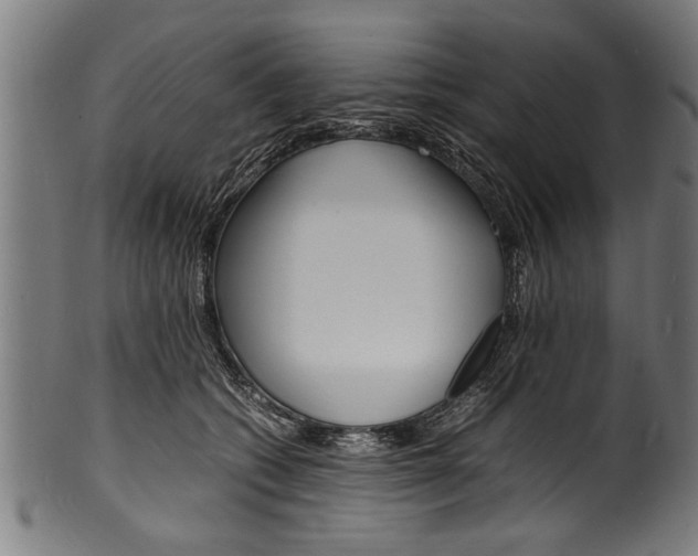 X0000100980562200806241151