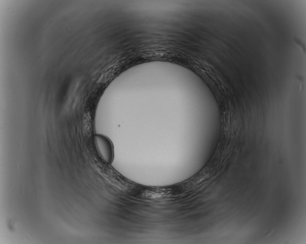 X0000100980563200806241151