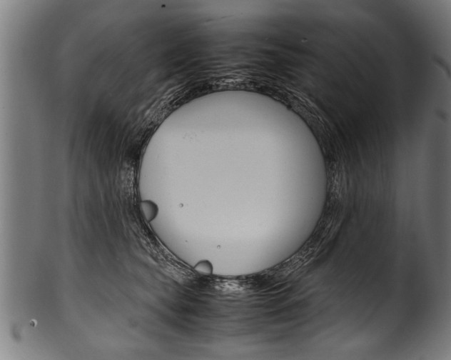 X0000100980565200806241151