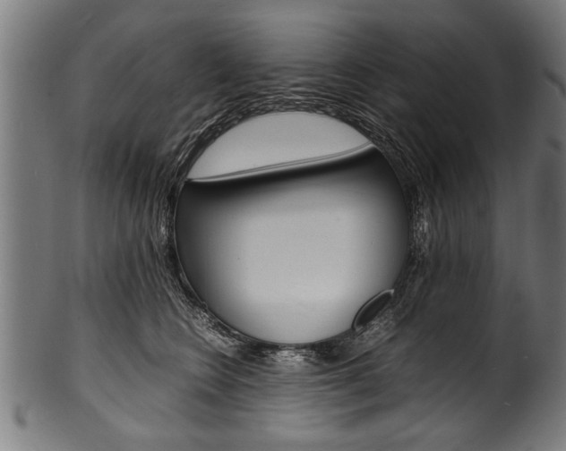 X0000100980566200806241151
