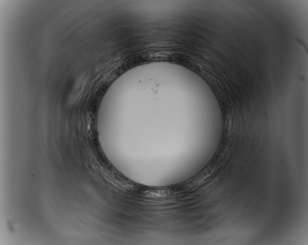 X0000100980567200806241151