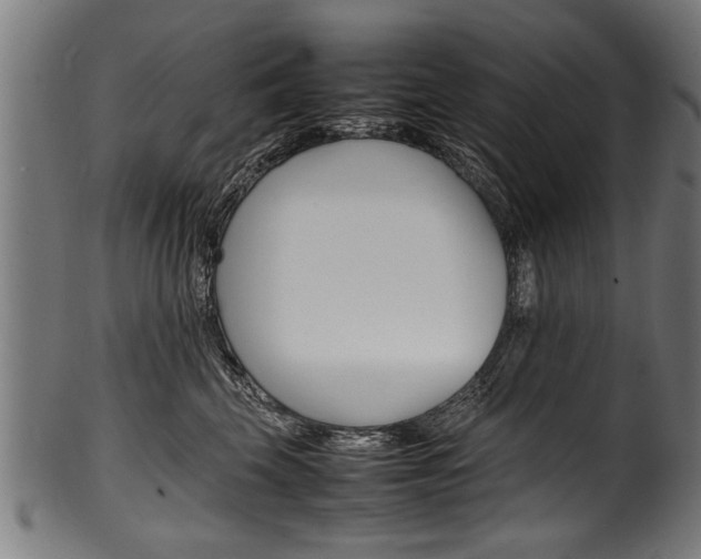 X0000100980569200806241151