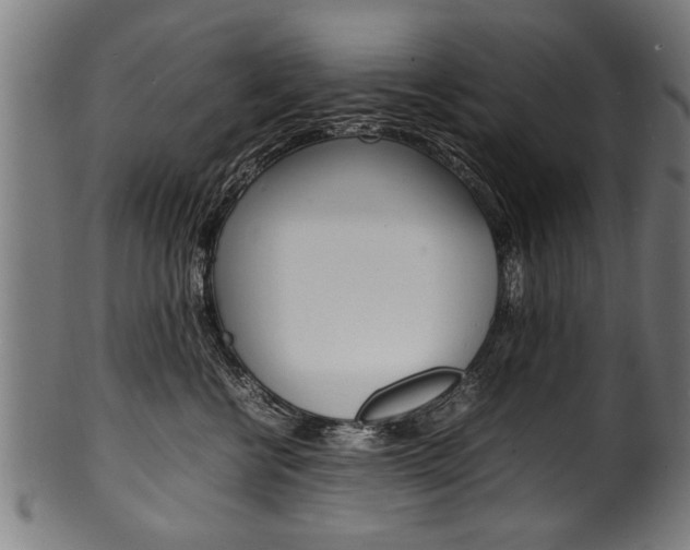 X0000100980570200806241151