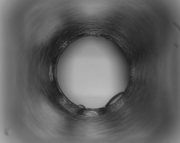 X0000100980572200806241151