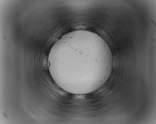 X0000100980573200806241151