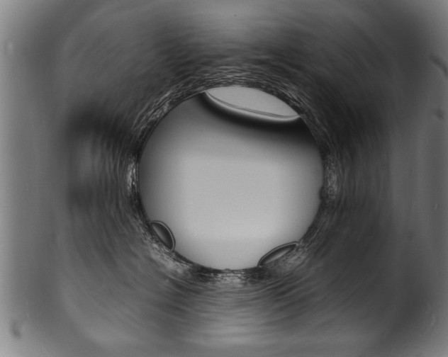 X0000100980574200806241151