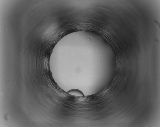 X0000100980575200806241151