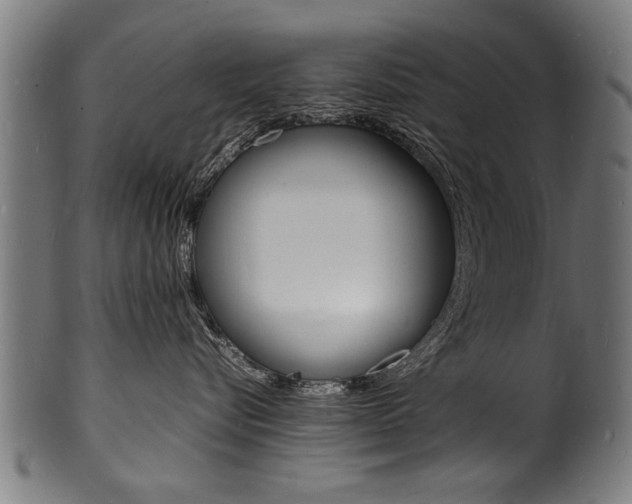 X0000100980576200806241151