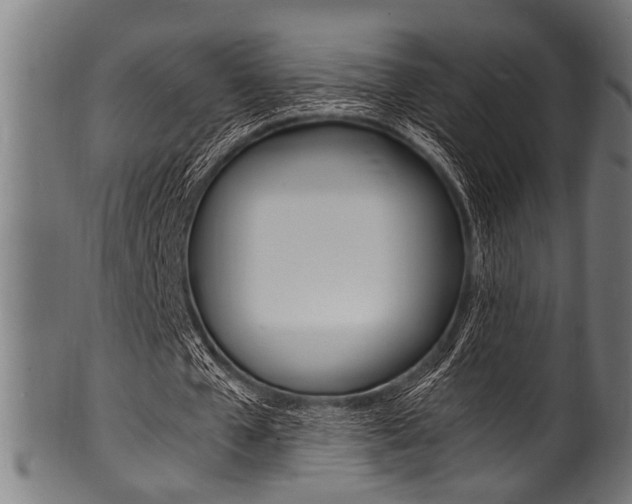 X0000100980577200806241150