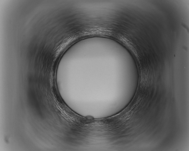X0000100980578200806241150