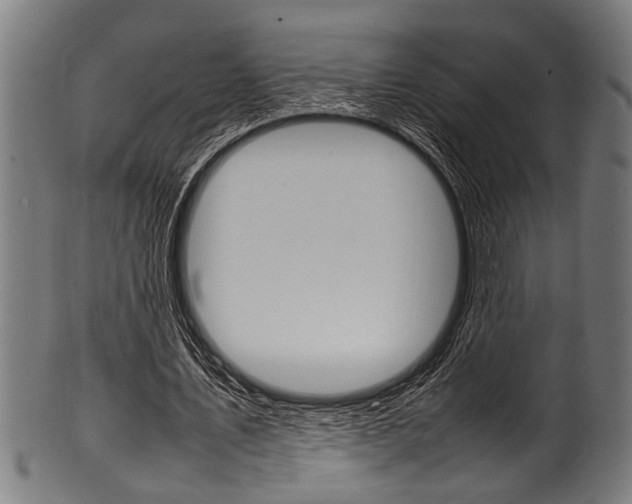 X0000100980579200806241150