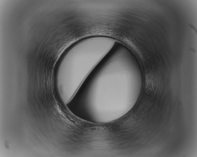X0000100980580200806241150