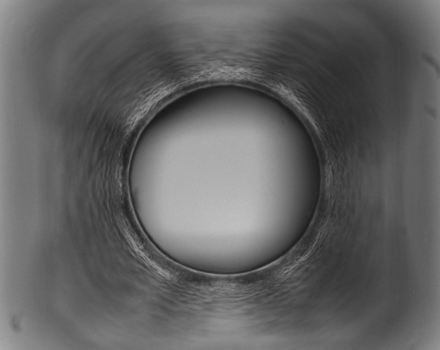 X0000100980581200806241150
