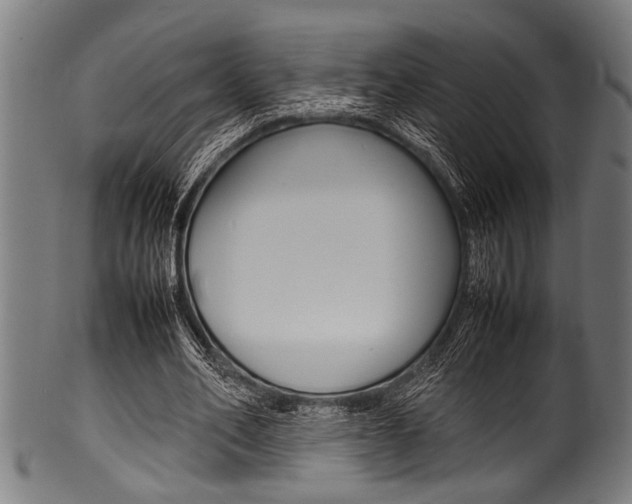 X0000100980582200806241150