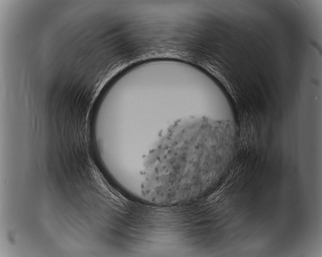 X0000100980584200806241150