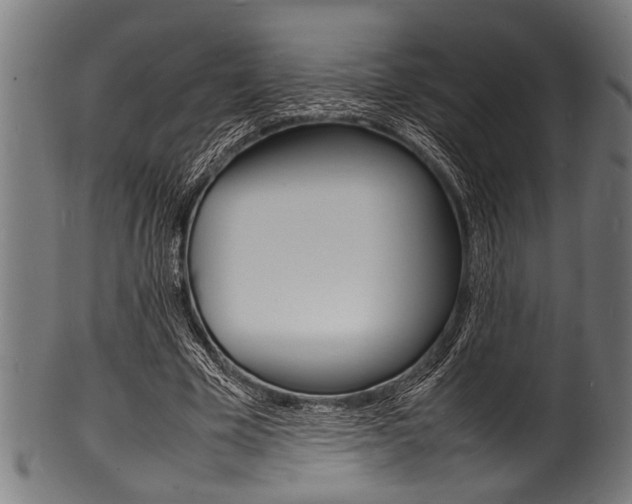 X0000100980585200806241150