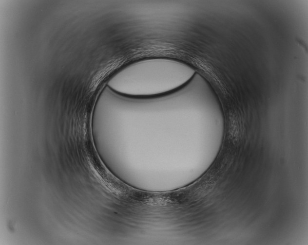 X0000100980586200806241150