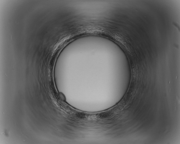 X0000100980587200806241150