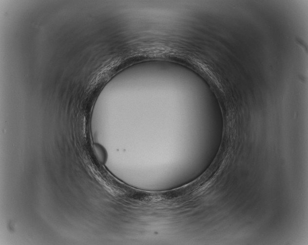 X0000100980589200806241150
