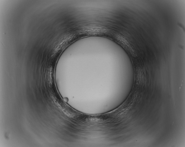 X0000100980590200806241150