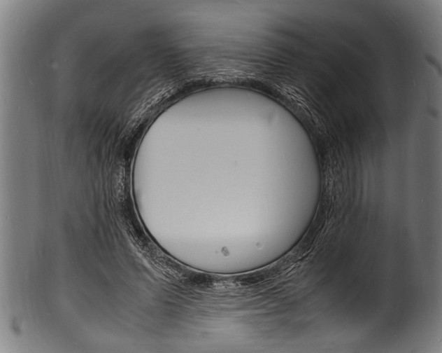 X0000100980591200806241150