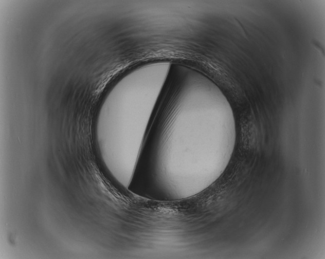 X0000100980592200806241150