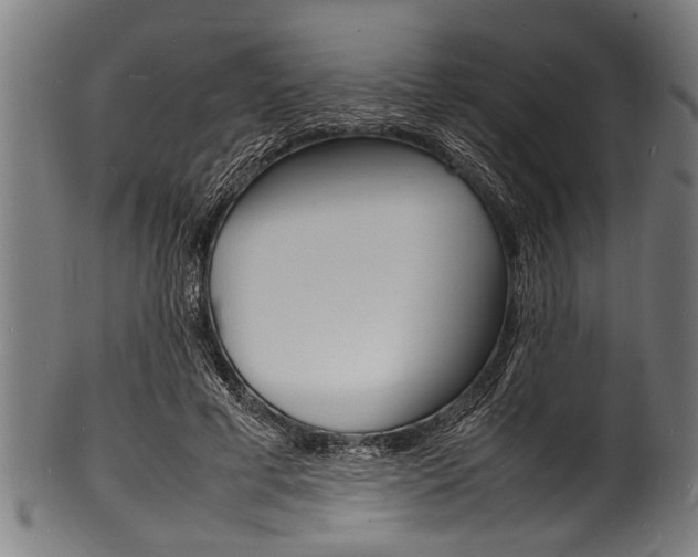 X0000100980593200806241150