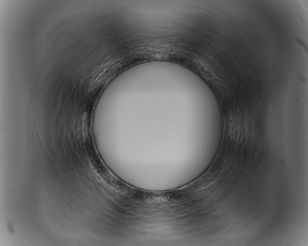 X0000100980594200806241150