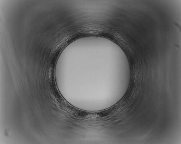 X0000100980595200806241150