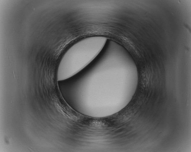 X0000100980596200806241150