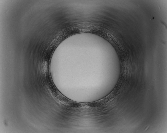 X0000100980598200806241150