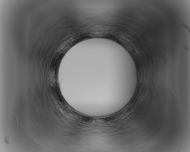 X0000100980599200806241150