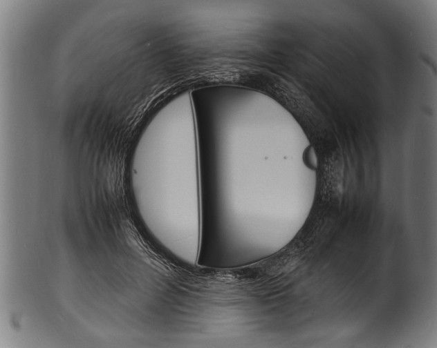 X0000100980600200806241150