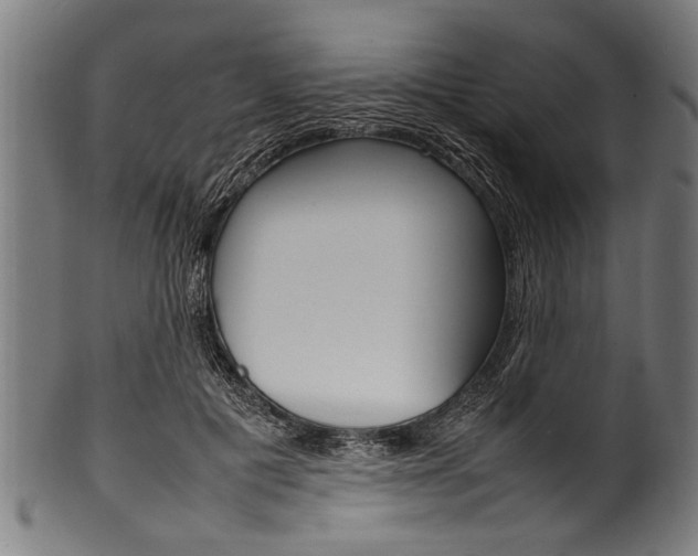 X0000100980601200806241150