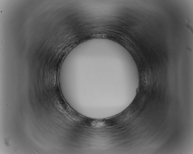 X0000100980602200806241150