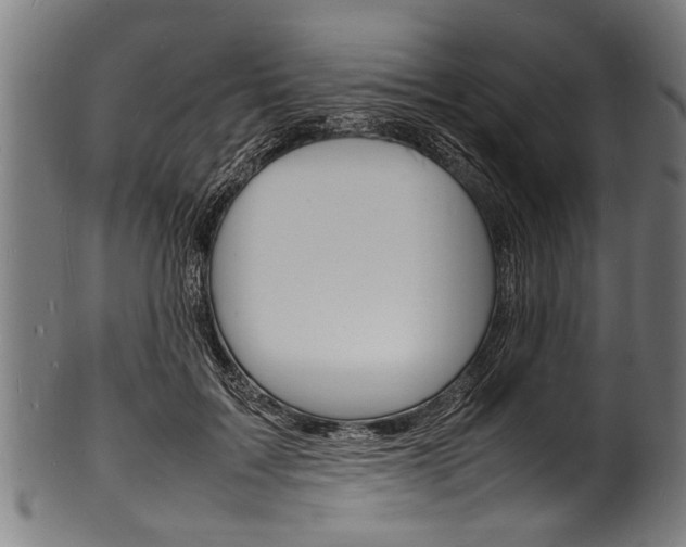 X0000100980603200806241150