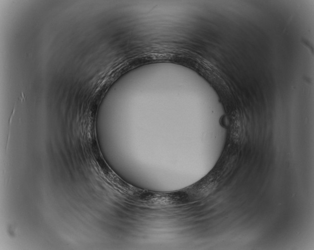 X0000100980604200806241150