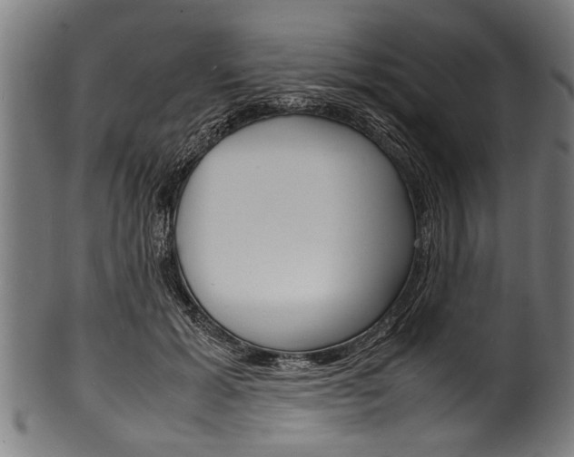 X0000100980605200806241150