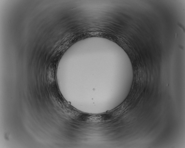 X0000100980606200806241150