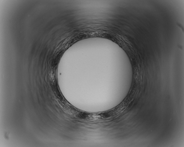 X0000100980607200806241150