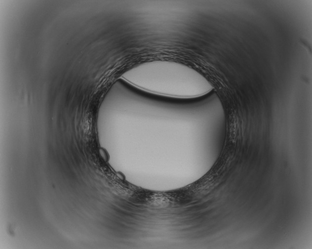 X0000100980608200806241150