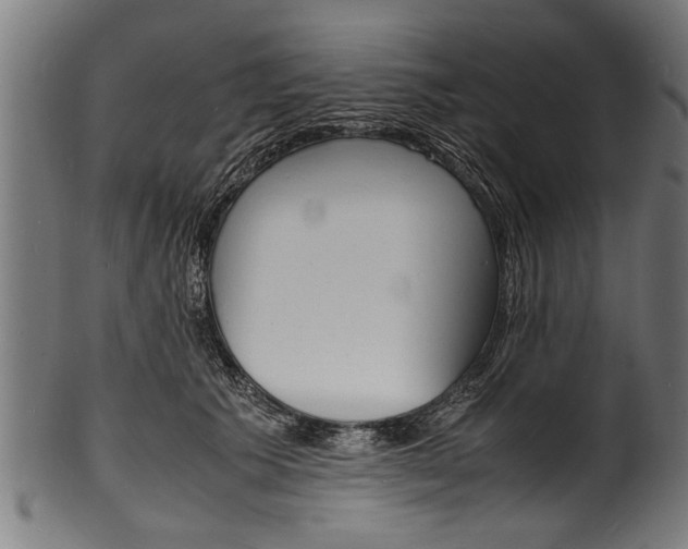 X0000100980609200806241150