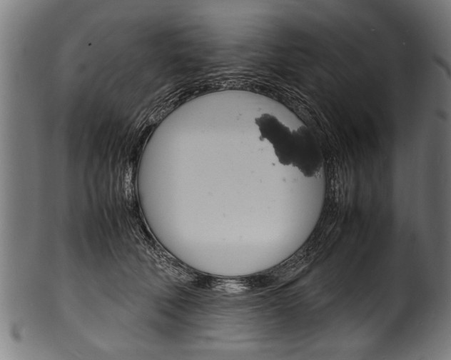 X0000100980610200806241150